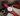 Breitling-Top-Time-Thunderbird-Kaliber01-Lederarmband-Frontansicht-mit-Hintergrund